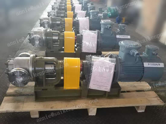 Procter Company——Stainless Steel Rotor Pump application c