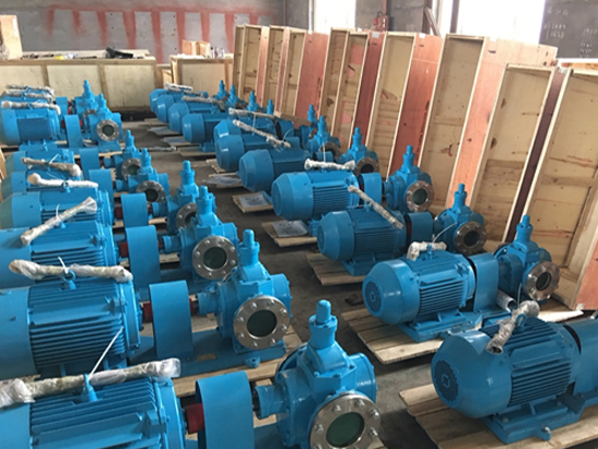 Arrangement of YCB arc gear oil pump