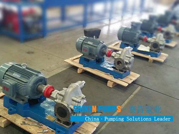 stainless steel gear oil pump