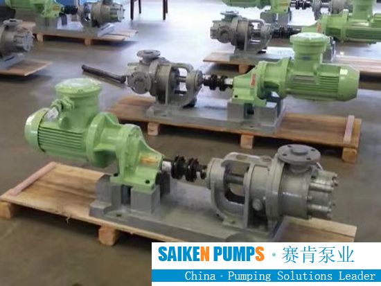 NYP high viscosity heat insulation rotor pump