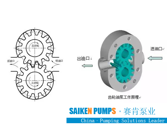 Gear oil Pump