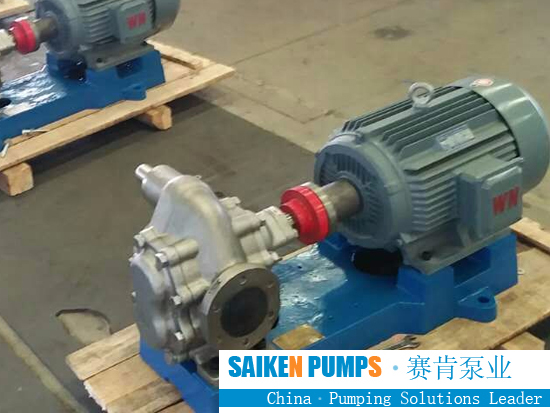 Stainless Steel Gear Pump - YCB Series