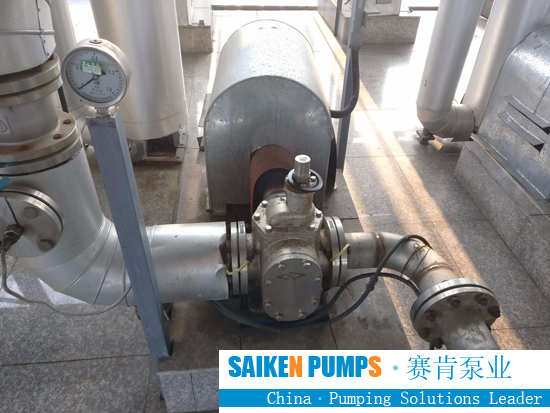 Stainless Steel Gear Pump