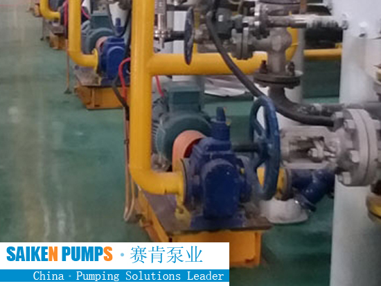 Stainless Steel Gear Pump