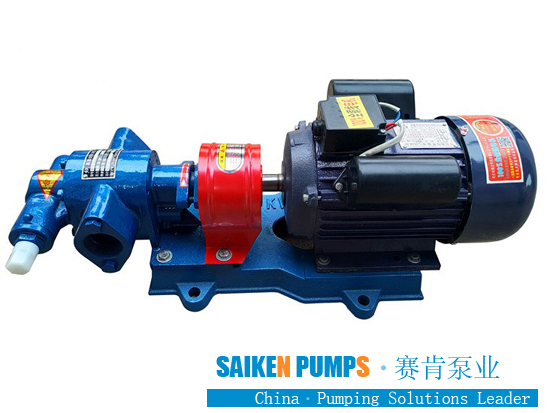 ss gear pump