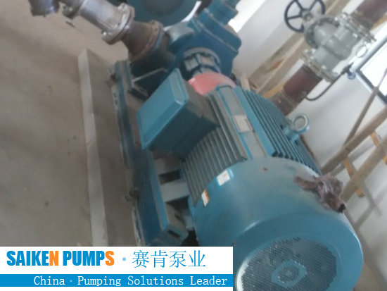 SS gear oil pump