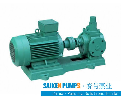 SUS gear pump