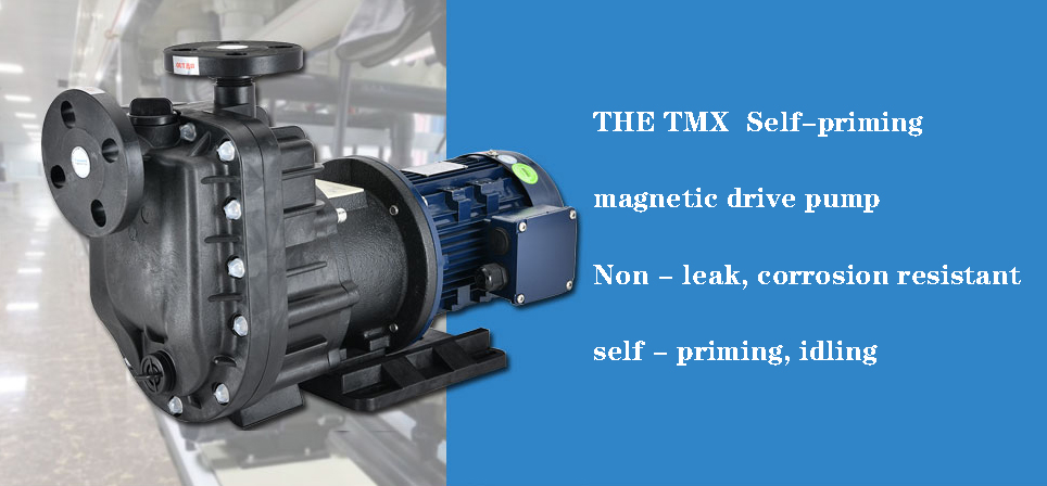 MAG drive pump